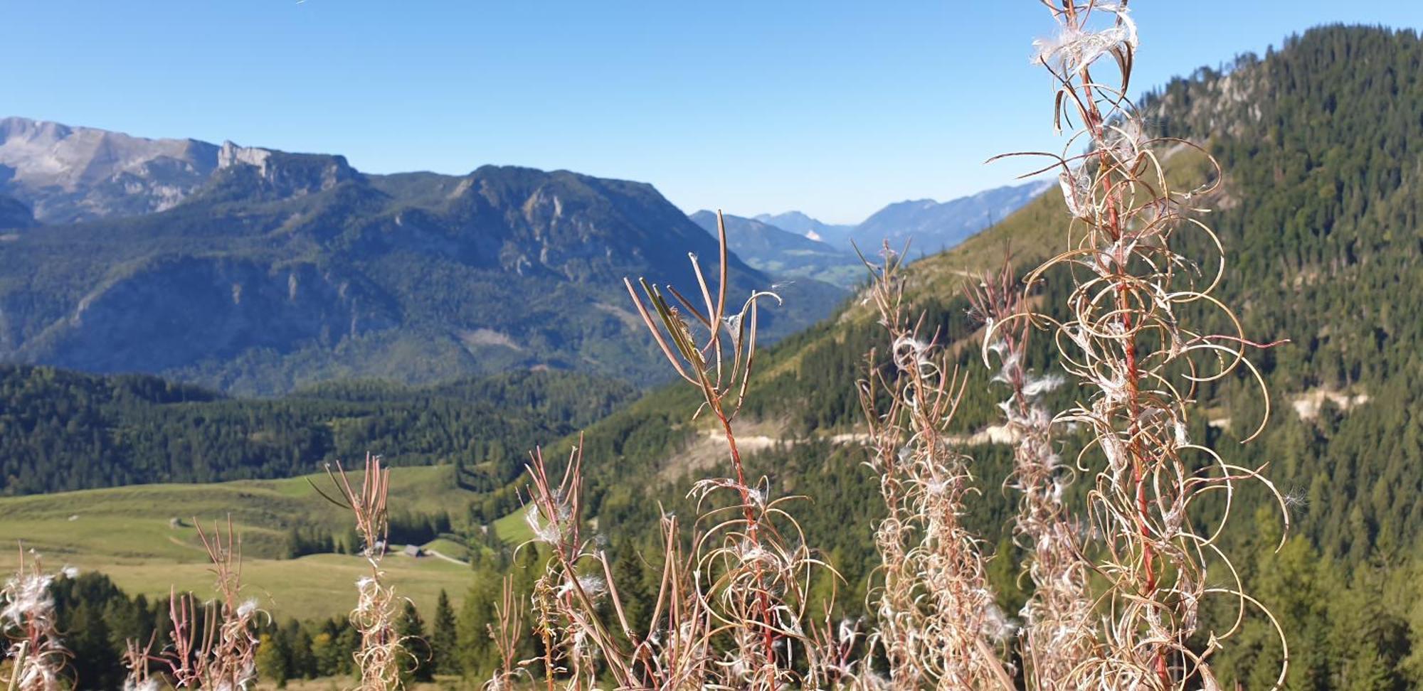 Ferienhaus Mountain View Шпитал ам Пирн Екстериор снимка