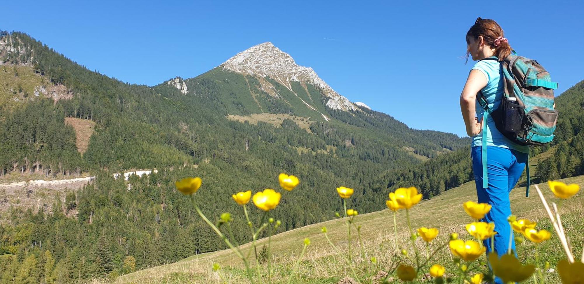 Ferienhaus Mountain View Шпитал ам Пирн Екстериор снимка
